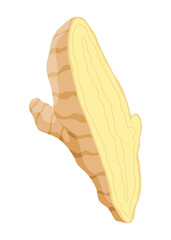 Ginger root. Aromatic herbal spice. Food ingredient, natural herb plant, sliced. Fresh and raw vegetable in cartoon flat style. Vector illustration isolated on white background