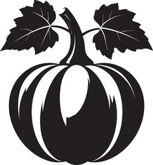 Acorn Squash Silhouette Black Vector Illustration