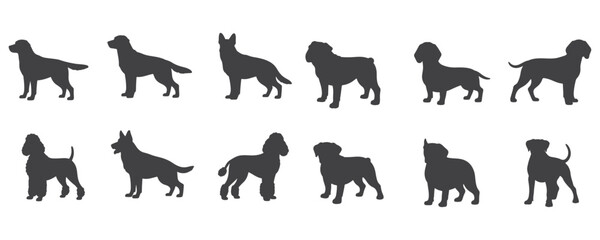 CAD Drawings. Set dogs silhouette isolated on white background. Sitting, walking. Top view. Vector illustration.