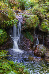 Fototapeta premium 木漏れ日が差し込む森の中の滝