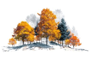 Autumn trees in a misty landscape