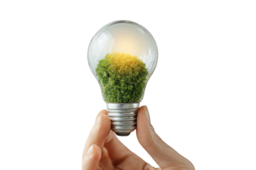 A hand holds a clear lightbulb with a small patch of green moss inside, glowing softly