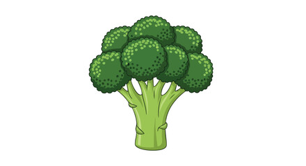 Illustrated broccoli floret on a clean white backdrop conveying freshness and nutritional value for food or healthy lifestyle content