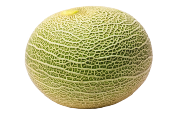Fresh galia melon isolated clean cutout image for food and health content transparent background