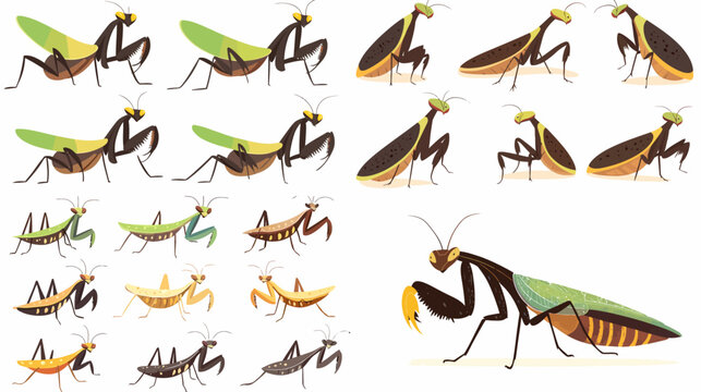 Praying Mantis Collection: A stunning array of praying mantis in vivid details. This artful composition showcases the intricate beauty and diversity of these fascinating creatures.