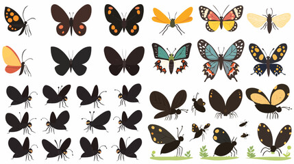 Fototapeta premium Butterfly Variety: A vibrant collection of diverse butterflies, showcasing an array of colors, patterns, and shapes. Each butterfly is a miniature masterpiece.