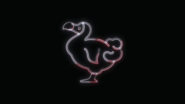  Dodo Animal Icon Neon Seamless Loop 4K with Black Background Animated Promotional Typography for Video Editing
