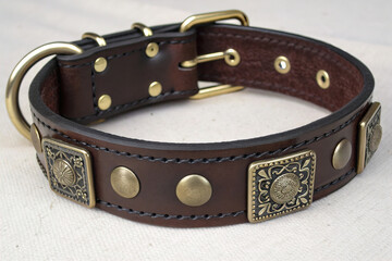 Leather dog collar with decorative metal accents