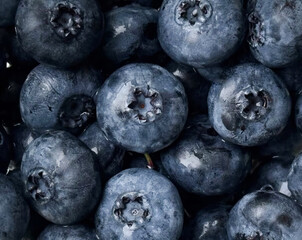 Succulent blueberries glisten under morning dew, conjuring visions of Samhain feasts and Nordic midsummer health rituals