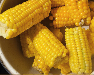 Golden corn cobs bask in buttery luminescence, echoing harvest festivals and sweet culinary creations, autumns vibrant bounty