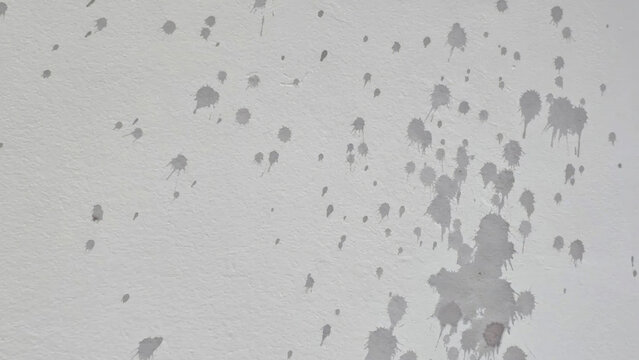 Splattered gray paint forms an abstract constellation on barren drywall, evoking urban mystery and minimalist serenity, apt for International Art Day