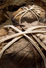 Close up, studio shot of  Banon goat cheese wrapped in chestnut leaves.