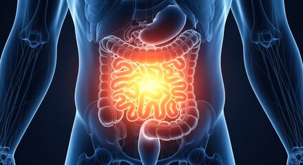 3D Medical Illustration: Inflamed Human Intestines, Digestive System Anatomy, Painful Abdomen, Blue and Orange Color Palette, Healthcare Concept.