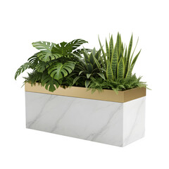 Beautiful arrangement of lush green houseplants in a modern white marble planter with gold trim isolated on transparent background