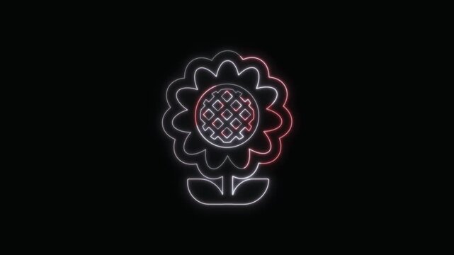  Sunflower Icon Neon Seamless Loop 4K with Black Background Animated Promotional Typography for Video Editing