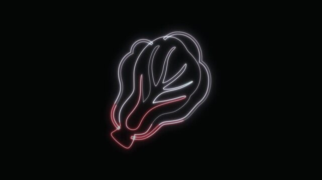  Lettuce Vegetable Icon Neon Seamless Loop 4K with Black Background Animated Promotional Typography for Video Editing