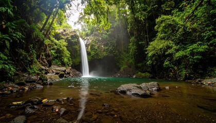 Serene Rainforest Waterfall Cascade Into Still Pool