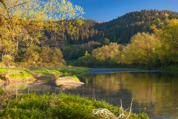 Kajaki na Popradzie z Muszyny do Piwnicznej-Zdroju. © rogozinski