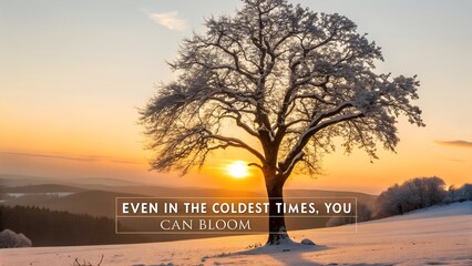 Inspirational Quote on a Beautiful Snowy Winter Landscape at Sunrise.