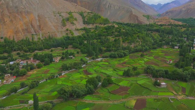 Aerial view of vibrant green fields contrasted against the rugged terrain and scattered houses, creating a striking landscape, Thally, Gilgit Baltistan, Pakistan.