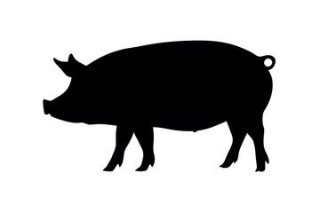 Silhouette of a pig standing in a white background.