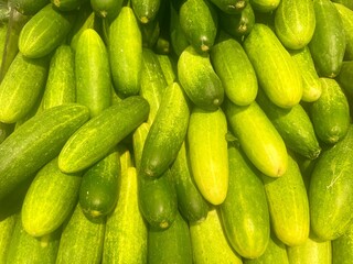 Fresh green cucumbers stacked together at a market stall, showcasing natural textures and vibrant colors.