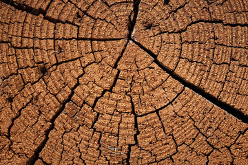 Wooden background. Wood texture background. Brown wooden texture background of natural wood. Wooden...