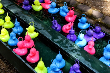 Pêche aux canards. Canards en plastique multicolores flottant dans l'eau. Jeu pour enfants.