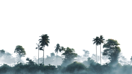Misty tropical landscape with palm trees and vibrant foliage creates a serene nature backdrop isolated on white background