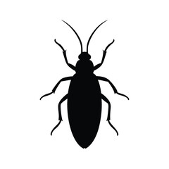 thrips isolated on white background