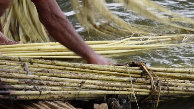The process of extracting fibers from retted jute stems in the water