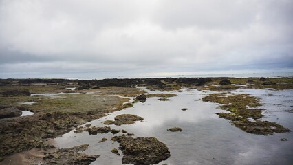Rocky coastal landscape with tide pools under cloudy sky