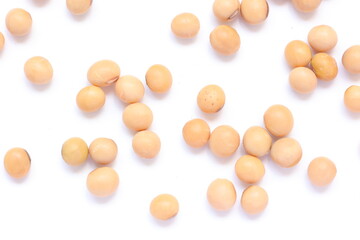 Soyon white background