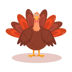 Flat Thanksgiving turkey illustration on white background. Simple festive design for greeting cards, posters, invitations, web projects and seasonal autumn holiday concepts.