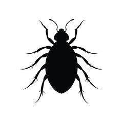 flea isolated on white background