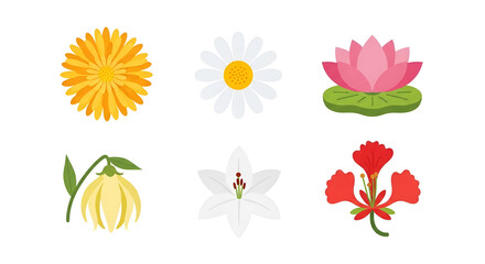Vibrant Flat Design Flower Collection Isolated on White