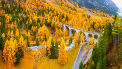 Railway in the forest. Aerial view. Viaduct and road among the forest Autumn landscape from the...