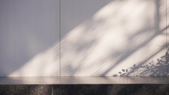 Soft plant shadows cast on a minimalist white wall creating a serene and artistic atmosphere