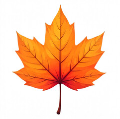 Naklejka premium Autumn mapple leaf, fall leaf