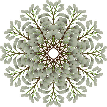 luxury mandala design in color
Premium
beautiful round decorative mandala pattern
Premium
luxury mandala design background in color
Premium
mandala logo design vector template

