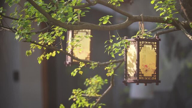 Classical Chinese lanterns hanging from tree branches with green leaves and soft lighting