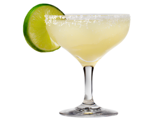 Lush green bird's nest fern in modern grey pot, isolated on a transparent background, PNG