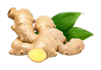 ginger rhizome cut in half isolated on white background