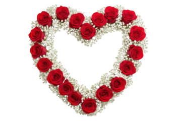 Heartshaped wreath of red roses and babys breath isolated on transparent background