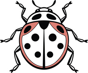 Ladybug Illustration. Cute Ladybug Artwork. Red Ladybug Drawing. Ladybug on Leaf Illustration. Cartoon Ladybug Artwork. Realistic Ladybug Drawing. Ladybug Insect Illustration. Ladybug Nature Artwork