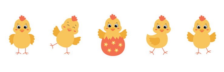 Cute animals chick set. Cute animals characters of chicken in different poses.