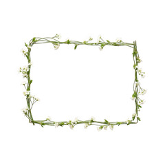 Rectangular floral frame with small white flowers isolated on transparent background