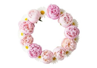 Circular arrangement of pink peonies and white daisies, isolated on transparent background