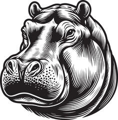 Hippopotamus amphibius vector 