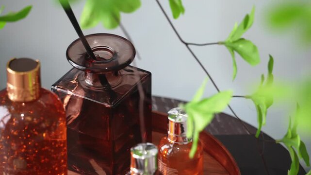 Amber-colored glass diffuser bottles and green plants arranged in a still life composition